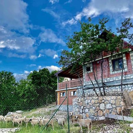 Mountain Village House Cetinje Bagian luar foto