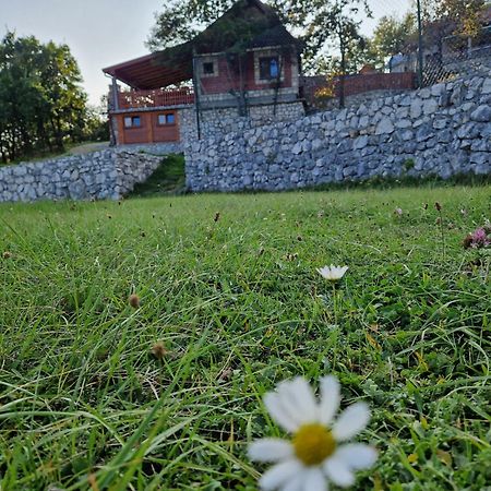 Mountain Village House Cetinje Bagian luar foto