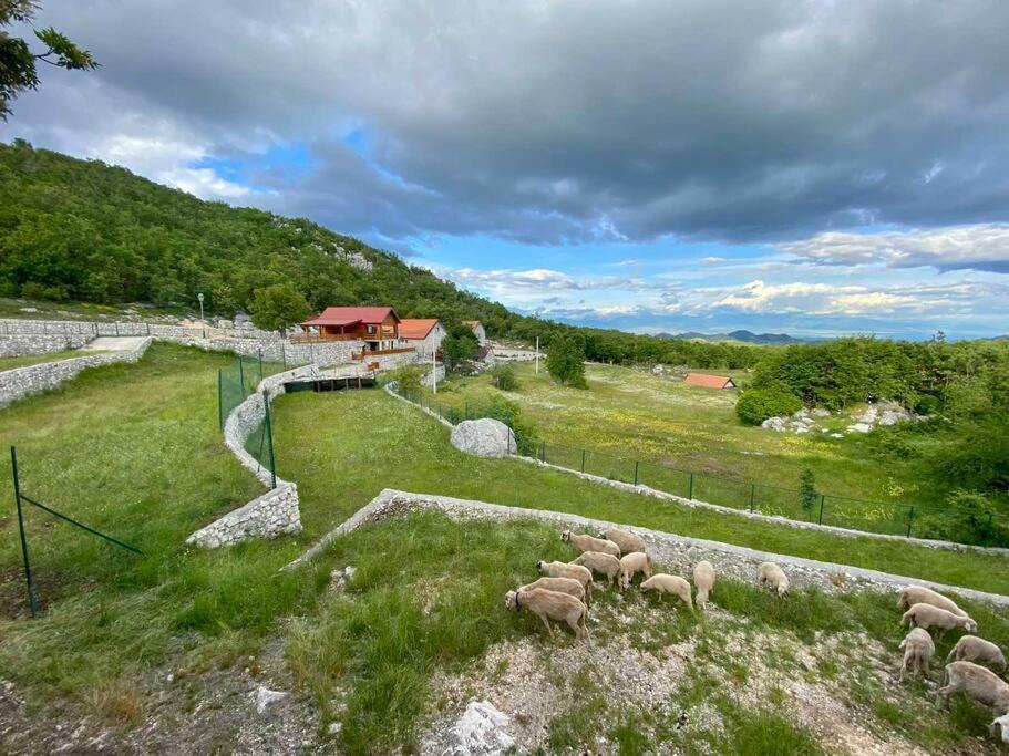 Mountain Village House Cetinje Bagian luar foto