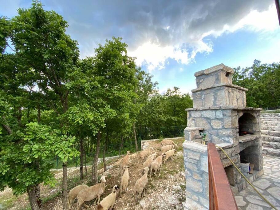 Mountain Village House Cetinje Bagian luar foto