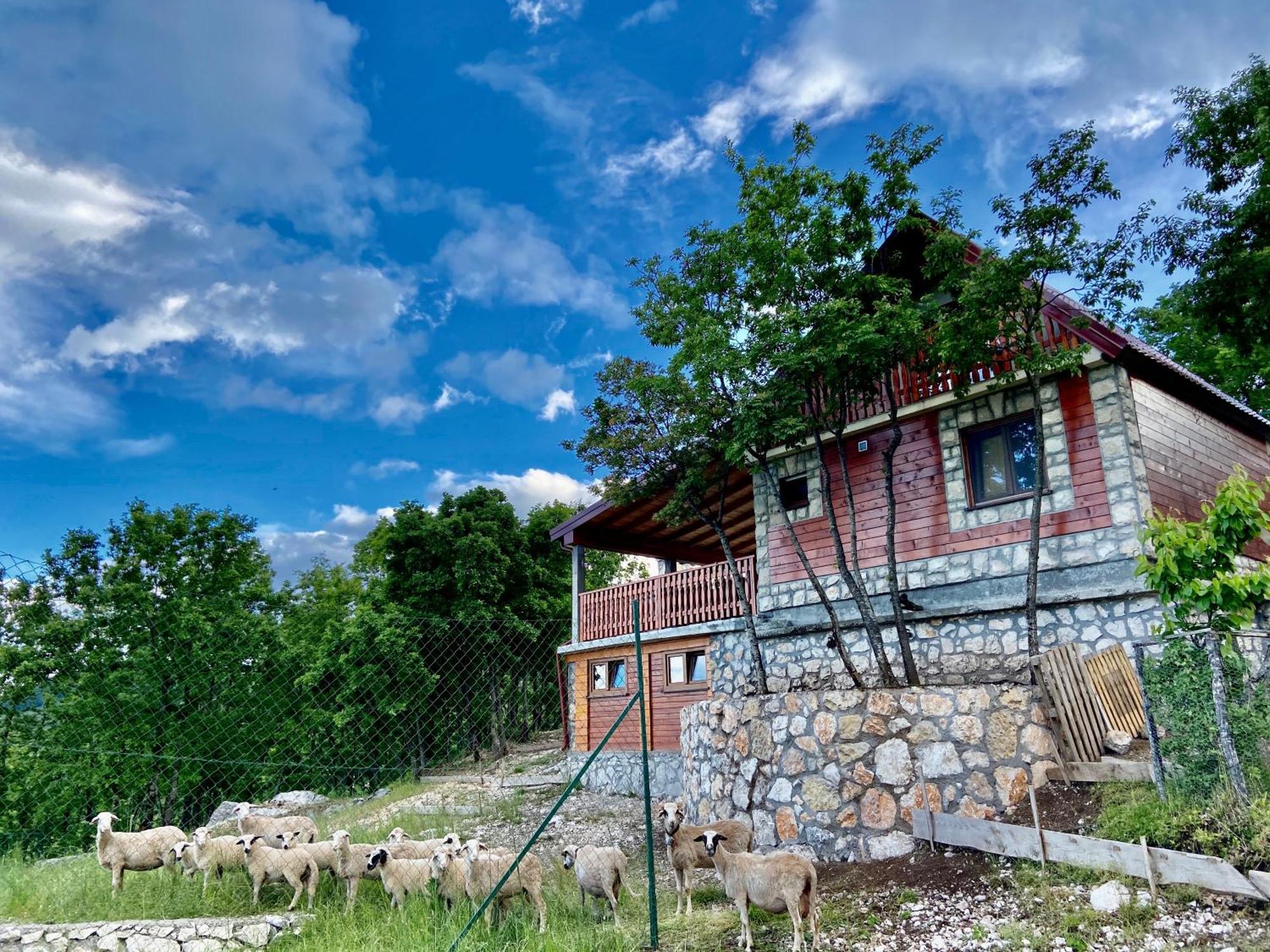 Mountain Village House Cetinje Bagian luar foto