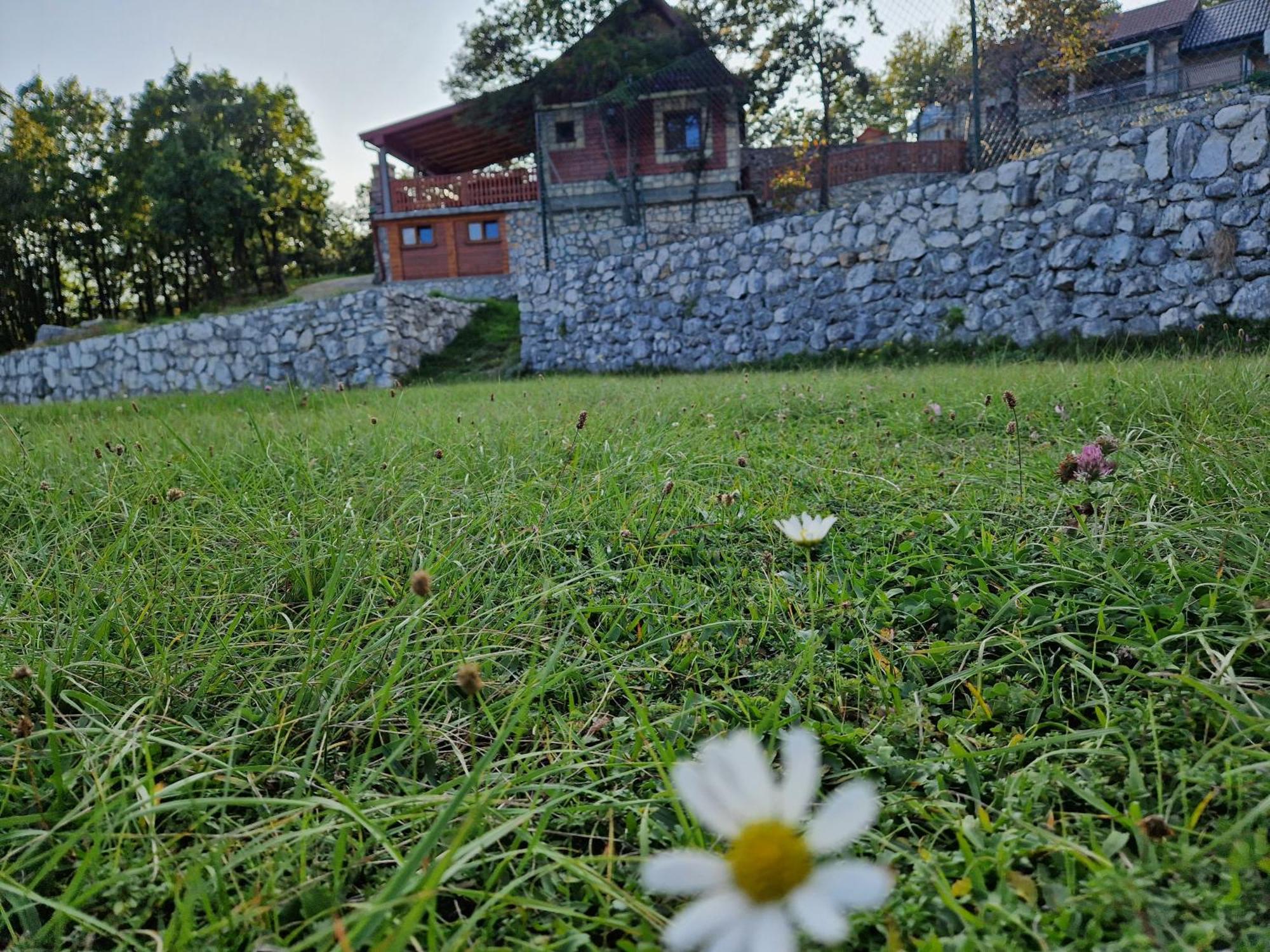 Mountain Village House Cetinje Bagian luar foto